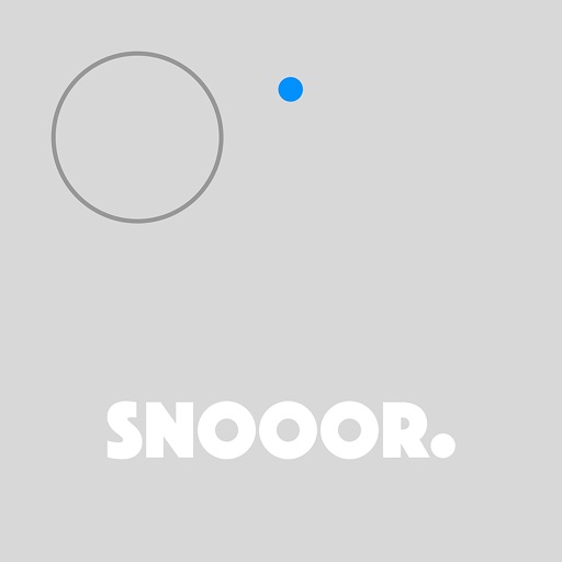 SNOOOR Sleep Position Device