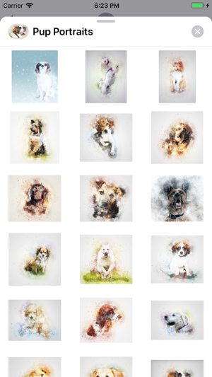 Pup Portraits(圖1)-速報App