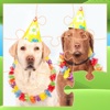Puzzle Pets Dogs Cats Game