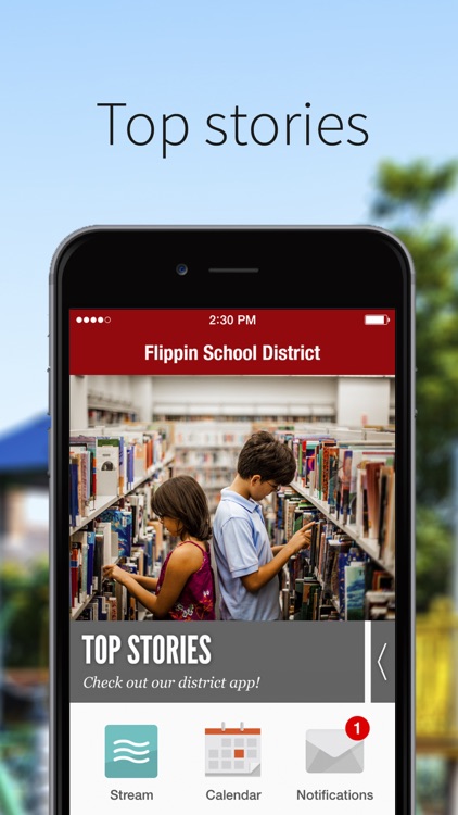 Flippin School District