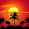 This application has the best wallpapers of beaches, with different categories, day, night, underwater, sunset