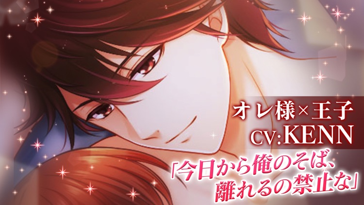 恋愛プリンセス 恋愛ゲーム・乙女ゲーム女性向け