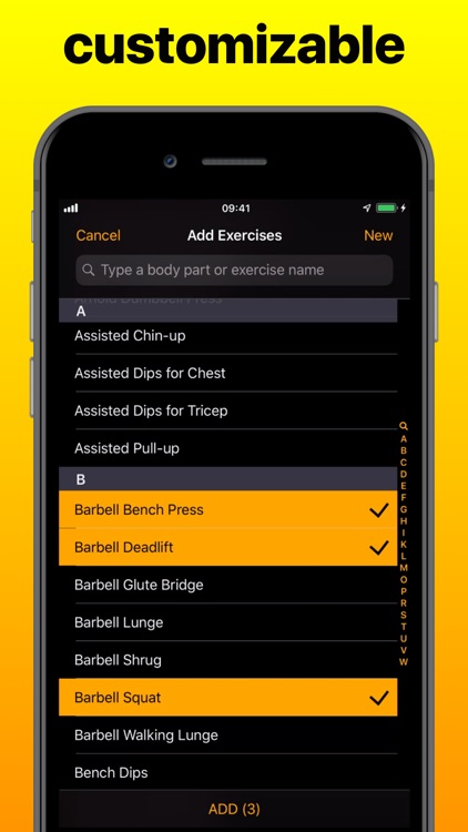 ironGAINS: Weight Training Log