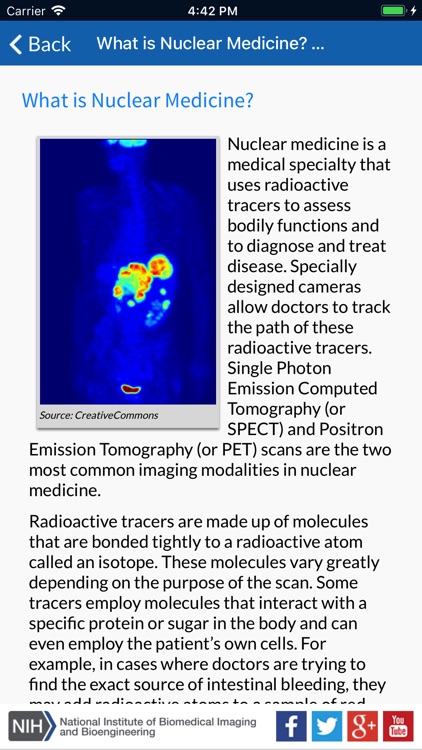 Understanding Medical Scans