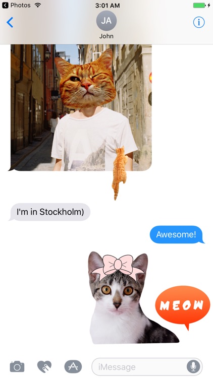 Cat Stickers for Messages