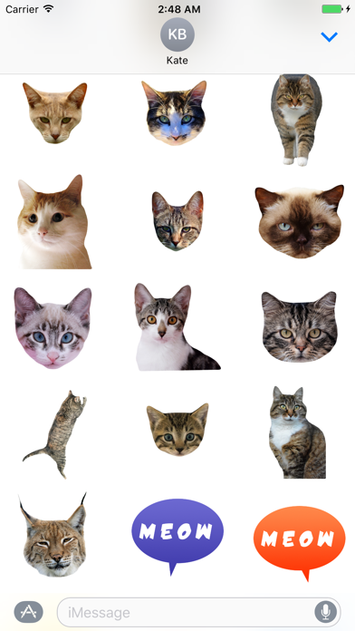 How to cancel & delete Cat Stickers for iMessage : Cats & Cat Heads from iphone & ipad 4