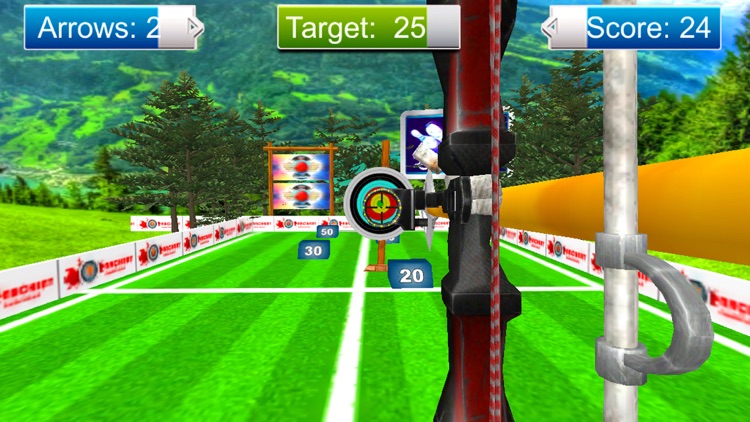 Archery Master Target Shooter screenshot-4