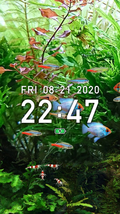 Tropical Fish Tank - Mini Aqua free Resources hack
