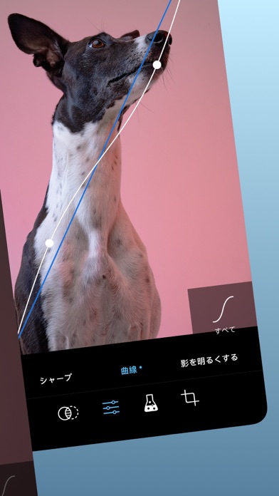 ProCamera. ポートレートカメラ screenshot1
