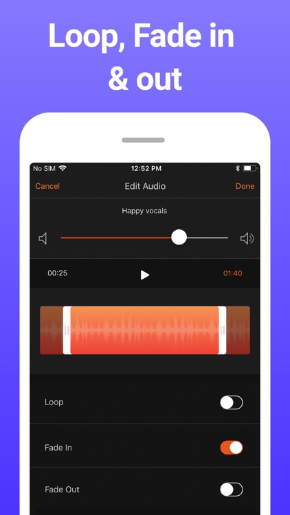 Add Music To Video Editor