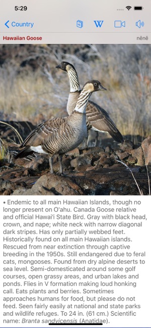 Bird ID Hawaii for iPhone(圖4)-速報App