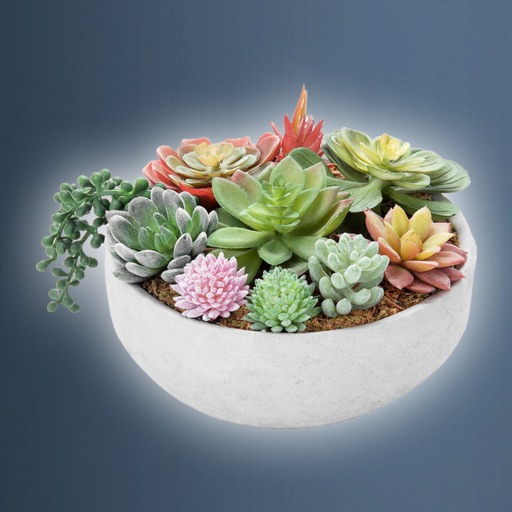 Idle Plant Pot 3D