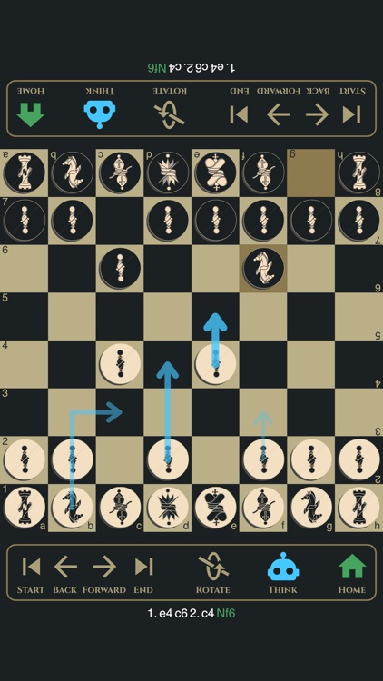 Two Player Chess (2P Chess) screenshot-3
