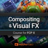 Compositing FX Course for FCPX