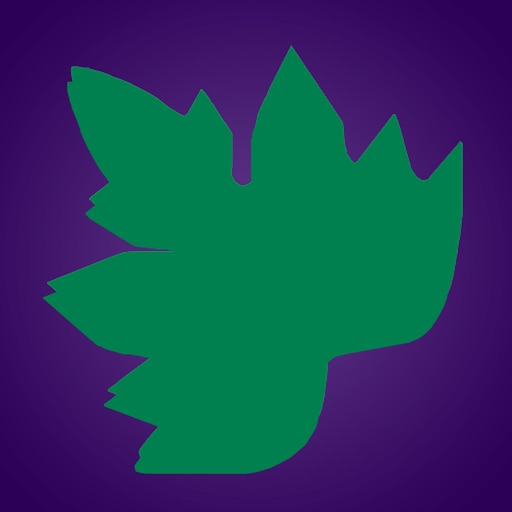 grapevinejobs Icon