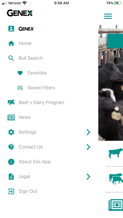 Bull Search