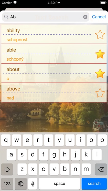 Knowledge of Czech language screenshot-4