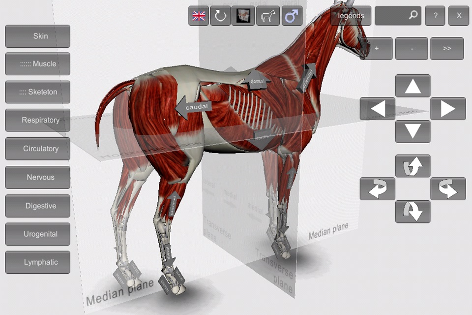 3D Horse Anatomy Software screenshot 3
