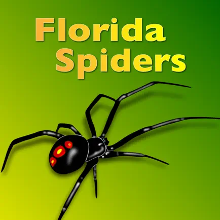 Florida Spiders Читы