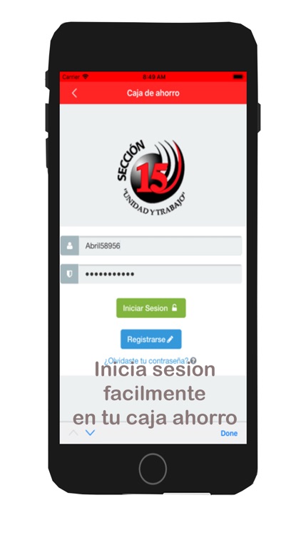 Sección 15