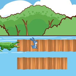 Dangerous Wooden Bridges