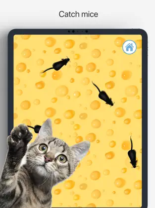 Immagine di 4 Juegos para Gatos Gatitos Meow iphone