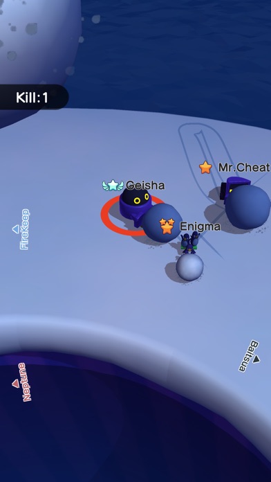 Snowball.io™ screenshot1