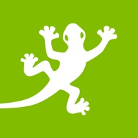 eGECKO App