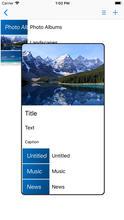PhotoAlbum-Pro screenshot-3