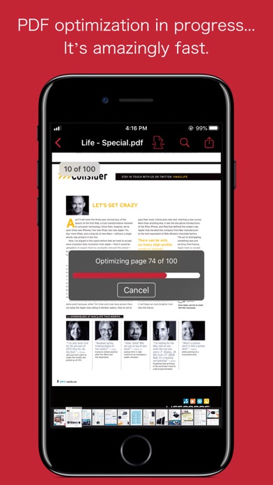 PDFOptim for iOS Screenshot 3