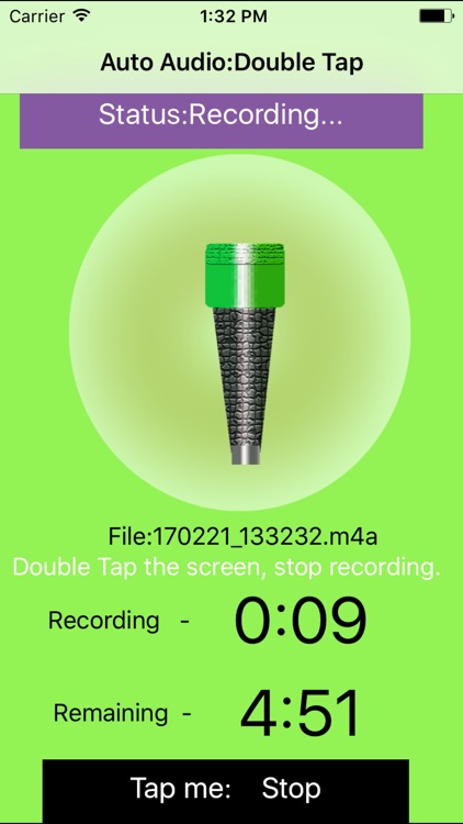 Auto Audio screenshot-4