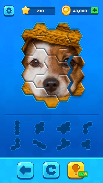 How to cancel & delete Hexa Jigsaw Puzzle™ from iphone & ipad 1