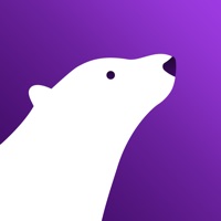  Polar VPN Alternatives