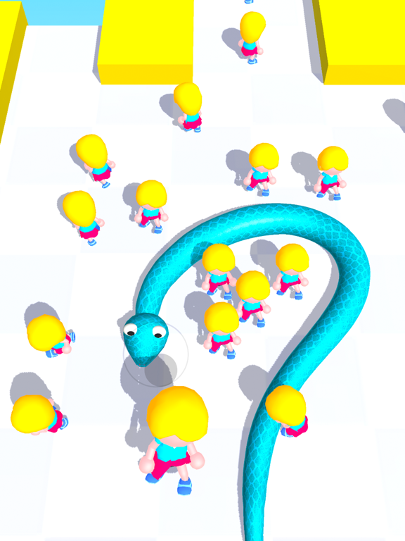 iPad Image of Snake Master 3D