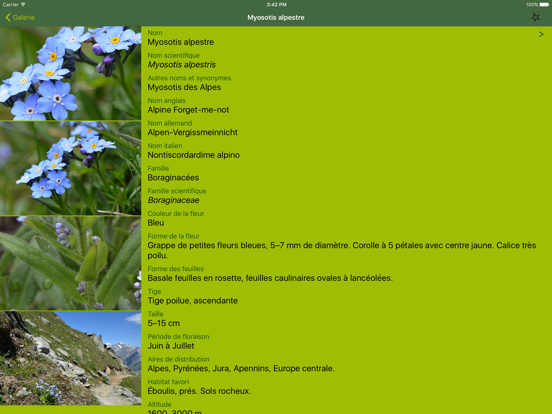 Fleurs des Alpes Finder Europe Fleurs des Alpes Finder Europe