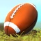 With easy to learn controls and hard to master challenges, Flick Kick® Field Goal is the addictive football game that's impossible to put down