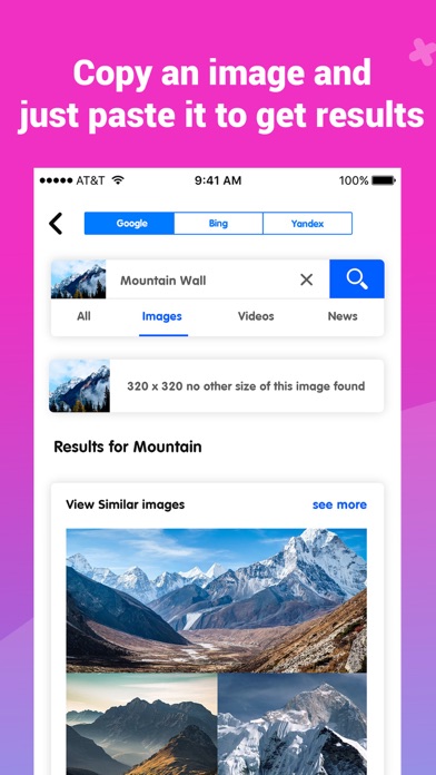 How to cancel & delete Image Recognition and Searcher from iphone & ipad 2