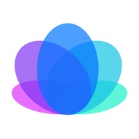 포토 위젯 - 일정, 메모과사진 앨범