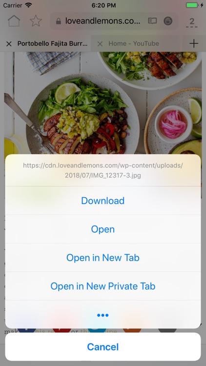 RedApp Web Browser