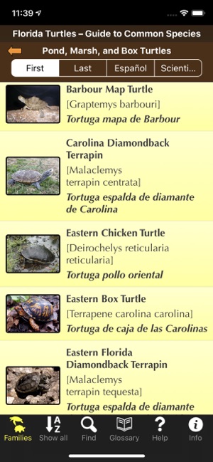 Florida Turtles(圖4)-速報App