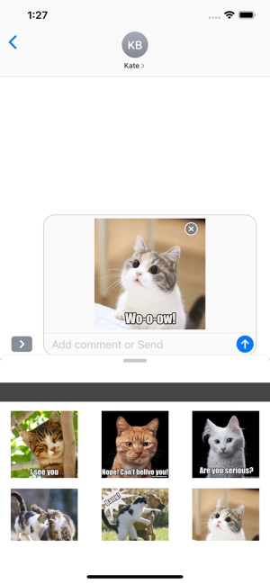 Funny Cats Animated Stickers(圖4)-速報App