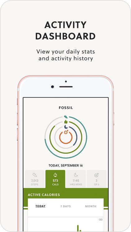 Fossil Hybrid Smartwatches