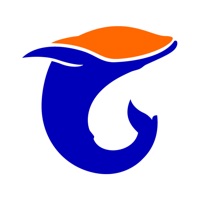 卓乐蓝今 pour PC