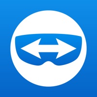 Teamviewer pilot что это