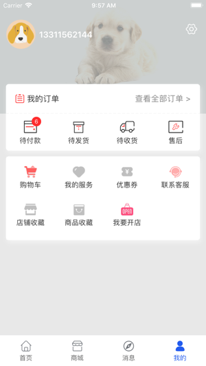 K9犬网(圖4)-速報App