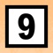 Icon NineFind