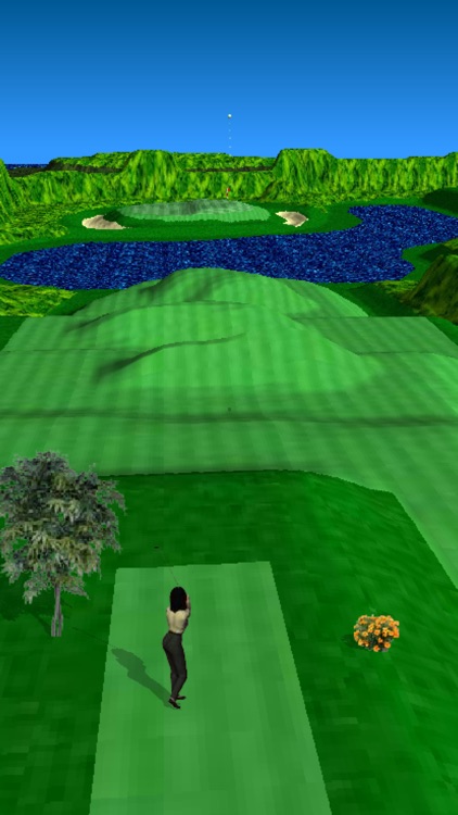 Par 3 Golf