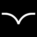 Blackbird Consultoria