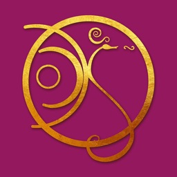 Attraction Symbols Cards