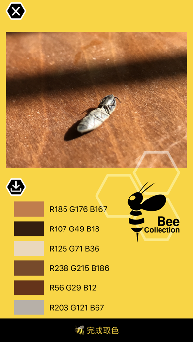Bee - Color Pick & collection screenshot 3